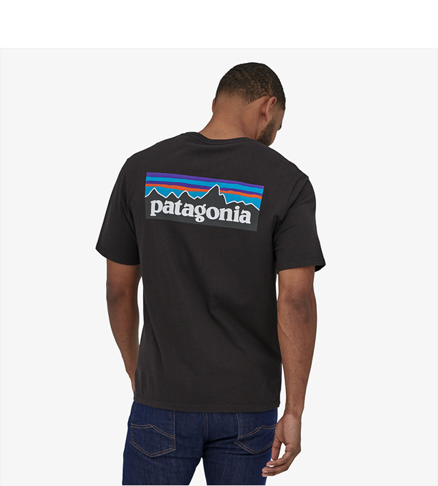 パタゴニア) PATAGONIA M'S P-6 ORGANIC T-SHIRT (SS:TEE)(38535