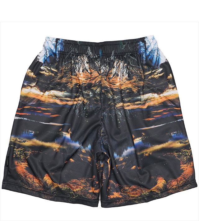 リバーサル) reversal GRAPHIC JERSEY SHORTS DEEP FOREST (SS
