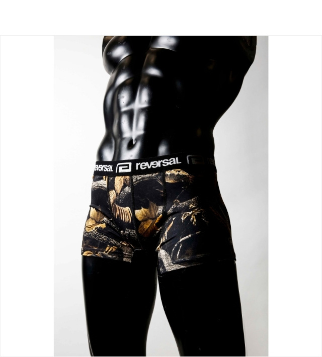 REVERSAL(リバーサル)