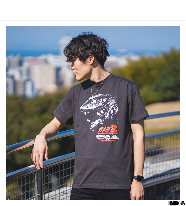 HARDCC(コアチョコ)