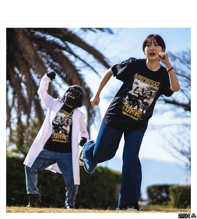 ハードコアチョコレート) HARDCORE CHOCOLATE スペクトルマン