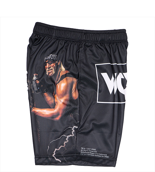 カメラ デジタルカメラ リバーサル) reversal×nWo HOLLYWOOD HOGAN EASY JERSEY SHORTS (SS 