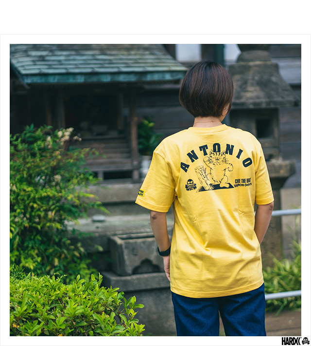 HARDCC(コアチョコ)