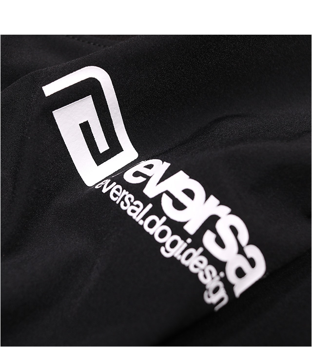 REVERSAL(リバーサル)