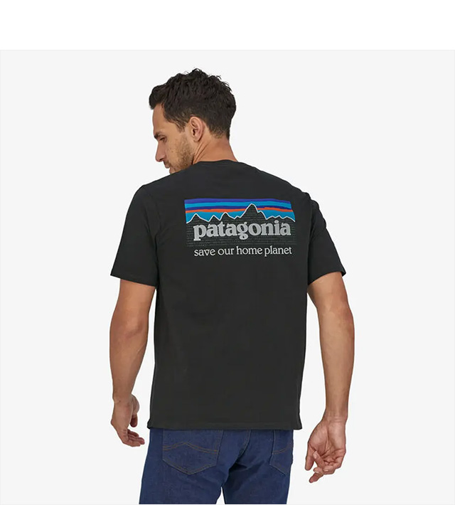 入試困難 USA製 Patagonia Tシャツ デカロゴ 半袖 レトロ 太陽