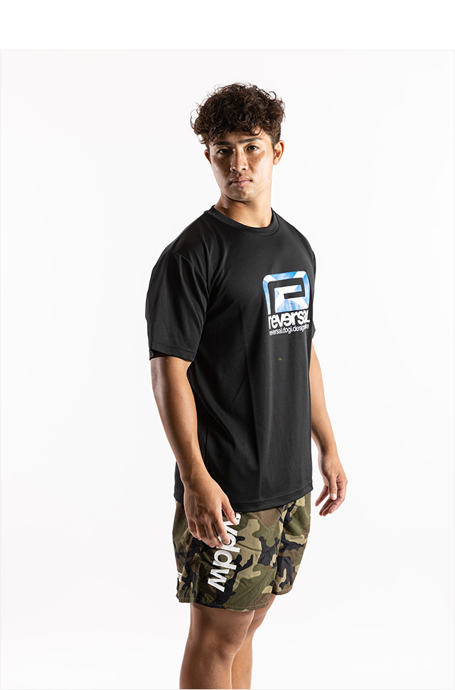 reversal(リバーサル)