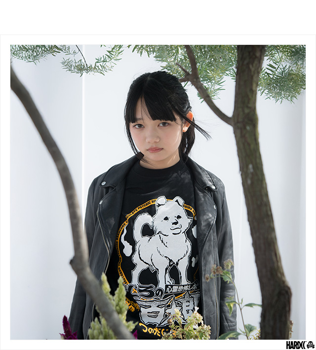 HARDCC(コアチョコ)