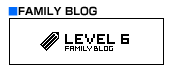 LEVEL6