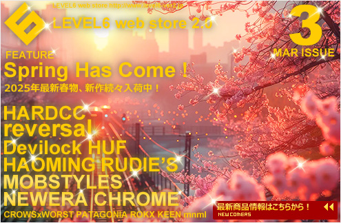LEVEL6 ver.2.0-WEB STORE-